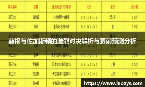 赫根与佐加斯顿的激烈对决解析与赛前预测分析